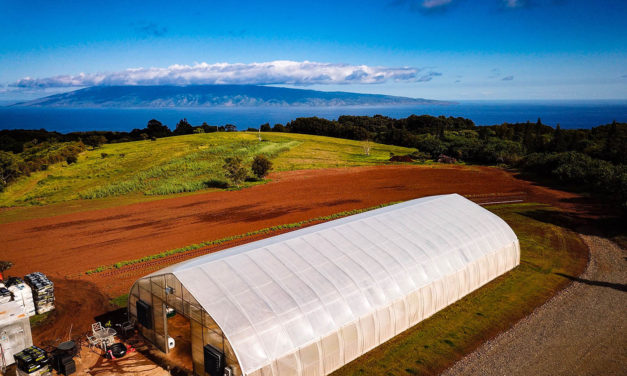 Kapalua’s own Hua Momona Farms