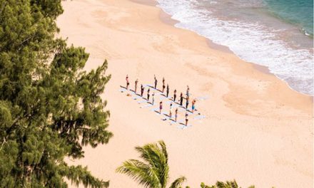 The Wellness Collective at The Ritz-Carlton Maui, Kapalua